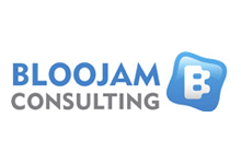 Consulting Partner - Bloojam logo